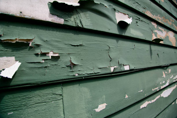 Affordable siding repair and maintenance services in Westminster, LA